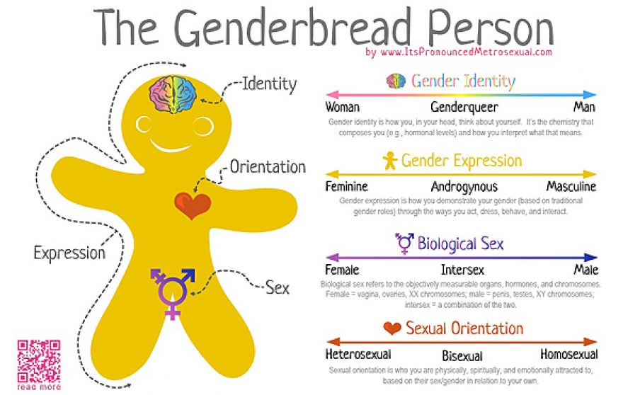 genderbread chart.jpg
